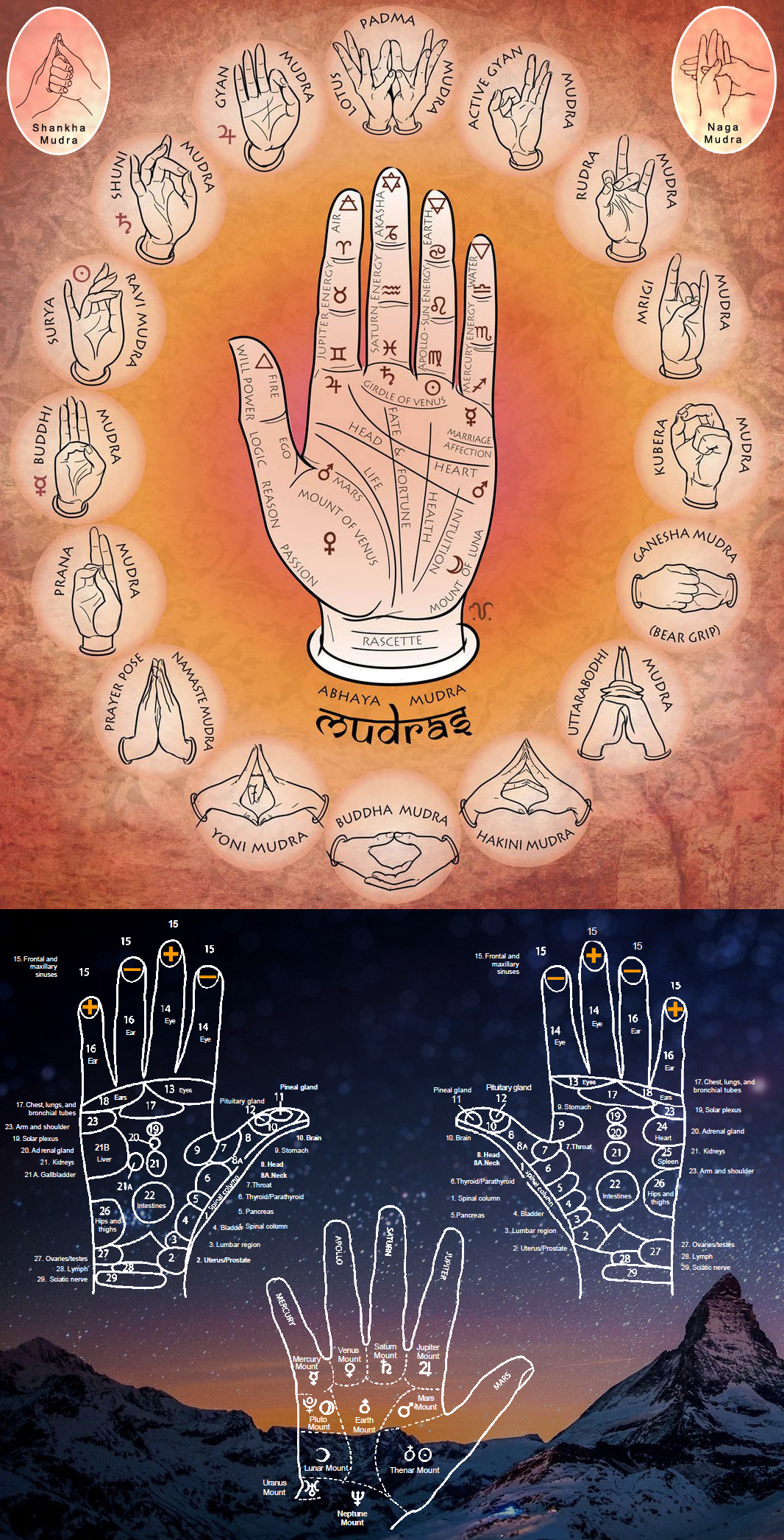 Ancient Egyptian Yoga (Abbey Wood & Belvedere) Mudra Ancient Egyptian Yoga (Abbey Wood & Belvedere) Mudra